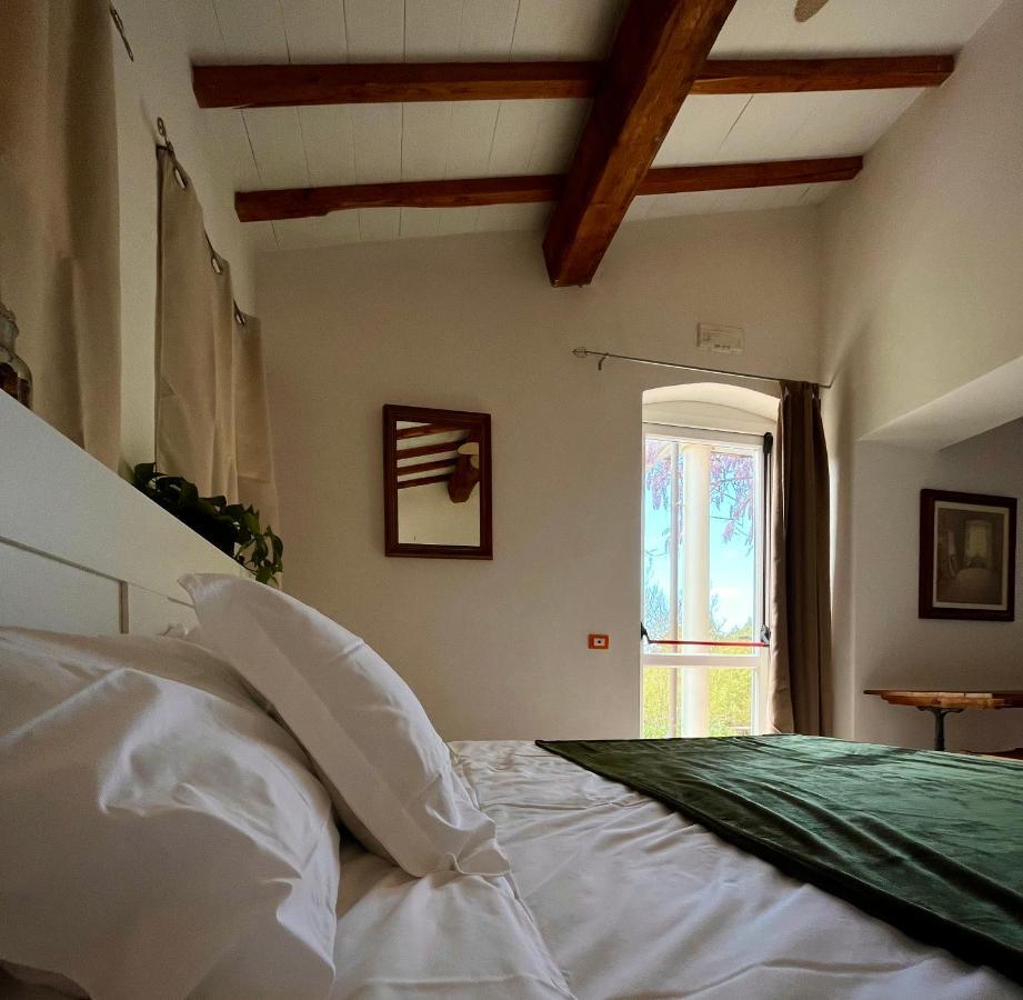 B&B La Fucinaia Pet Friendly Adults Only Campiglia Marittima Exterior foto