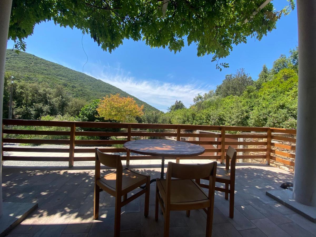 B&B La Fucinaia Pet Friendly Adults Only Campiglia Marittima Exterior foto