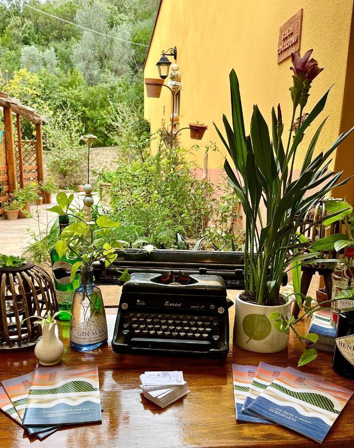 B&B La Fucinaia Pet Friendly Adults Only Campiglia Marittima Exterior foto