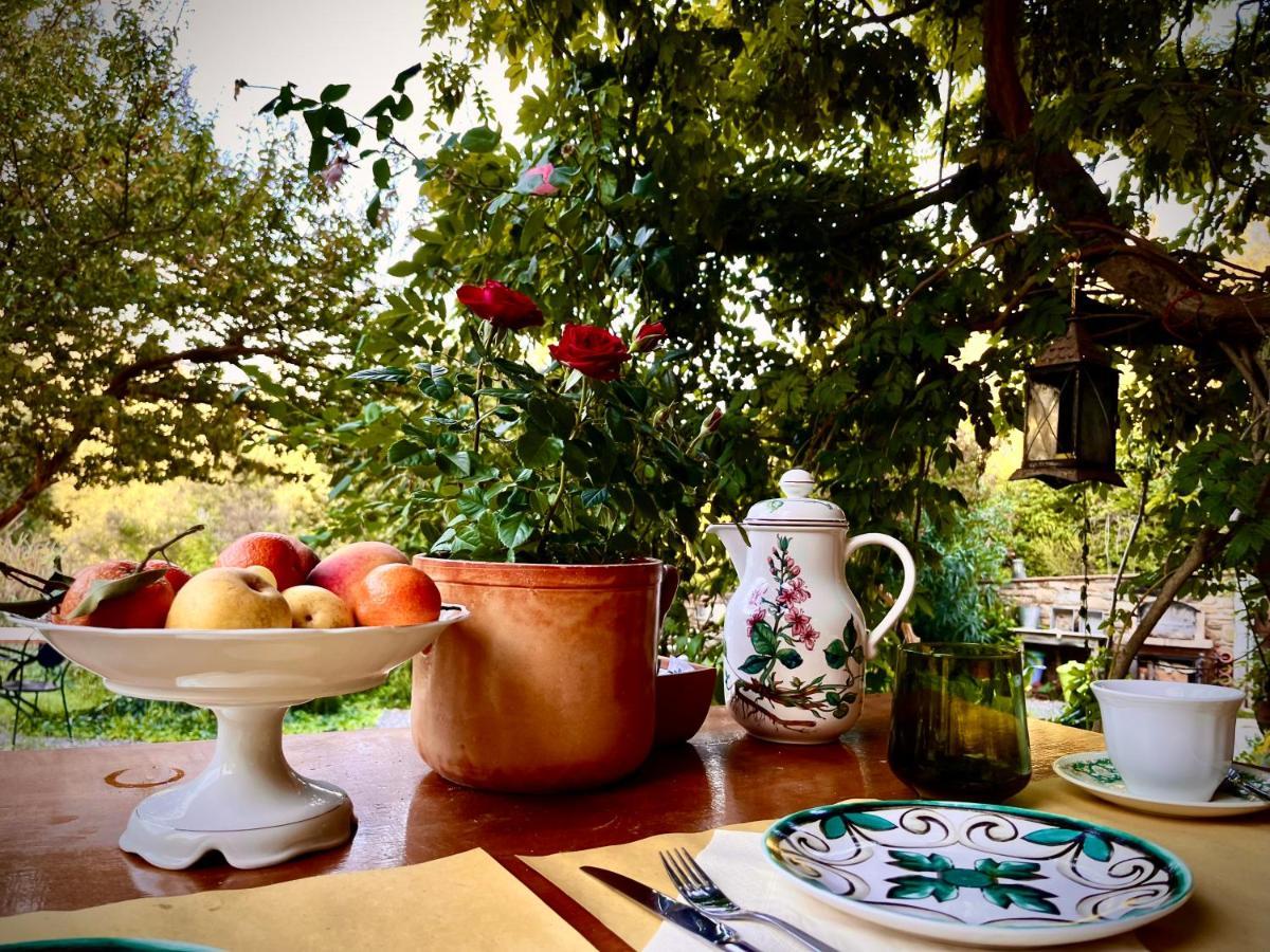 B&B La Fucinaia Pet Friendly Adults Only Campiglia Marittima Exterior foto
