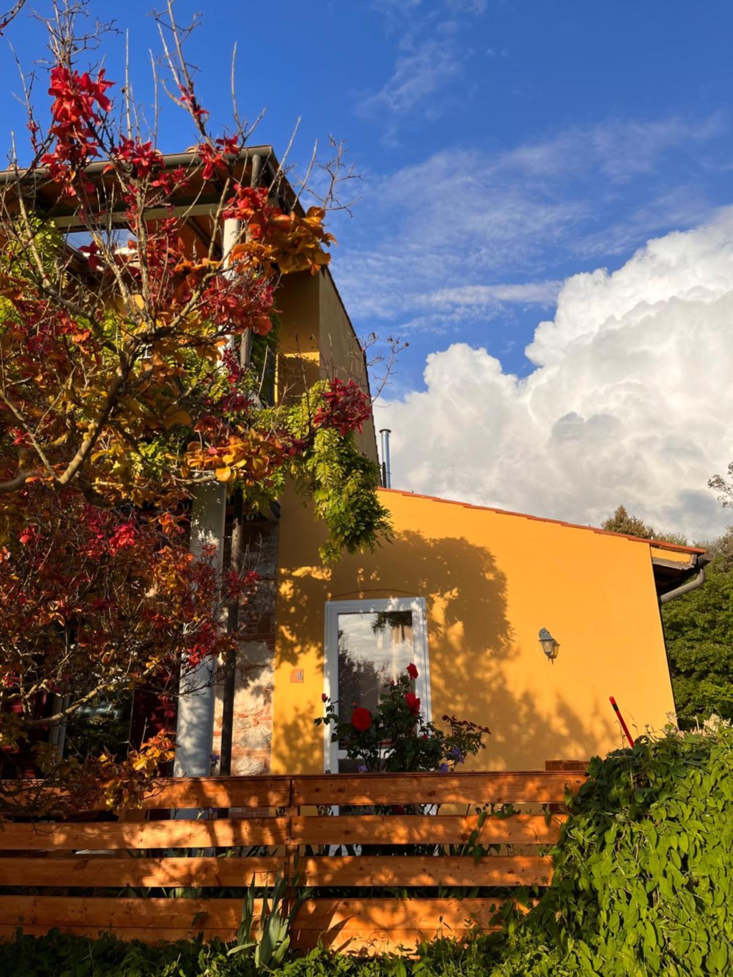 B&B La Fucinaia Pet Friendly Adults Only Campiglia Marittima Exterior foto