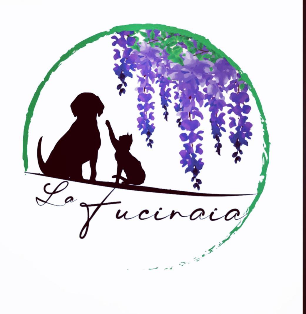 B&B La Fucinaia Pet Friendly Adults Only Campiglia Marittima Exterior foto