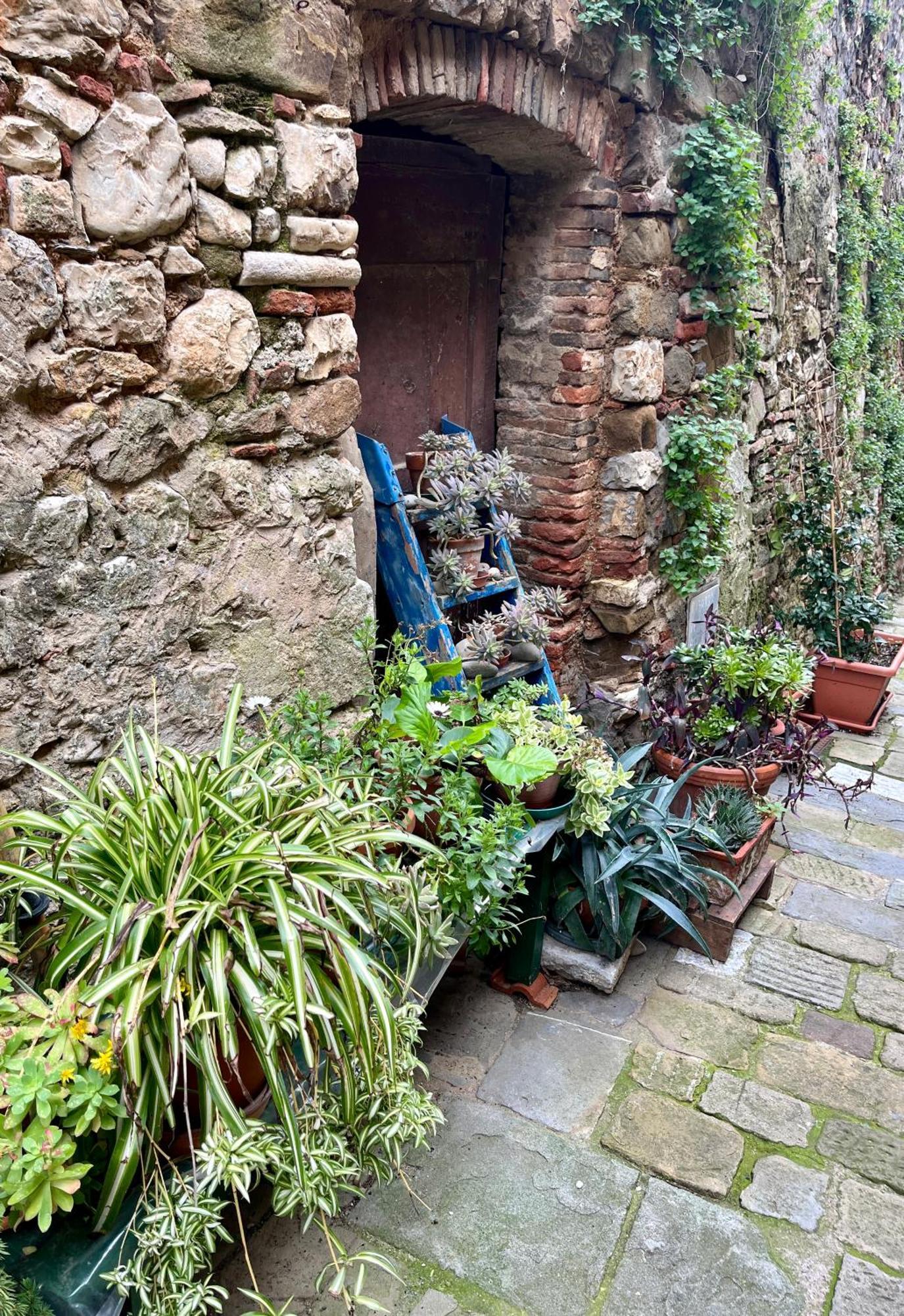 B&B La Fucinaia Pet Friendly Adults Only Campiglia Marittima Exterior foto