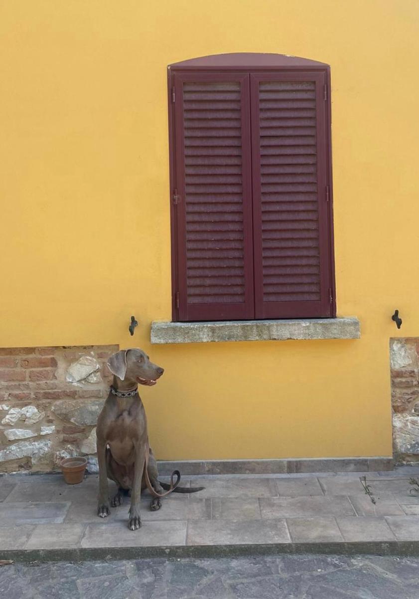 B&B La Fucinaia Pet Friendly Adults Only Campiglia Marittima Exterior foto