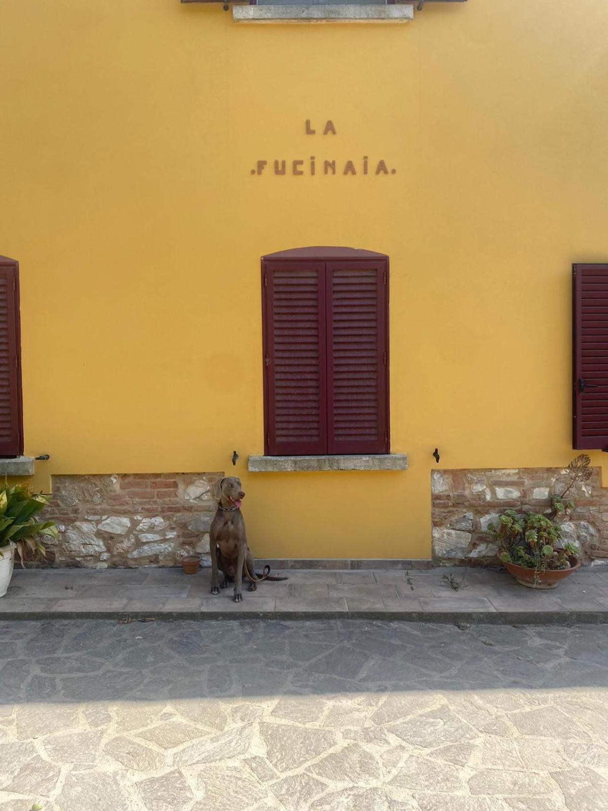 B&B La Fucinaia Pet Friendly Adults Only Campiglia Marittima Exterior foto